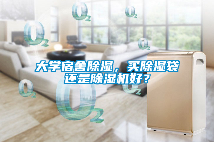欧美黄色性爱视频网站 大学宿舍除湿，买除湿袋还是除湿机好？