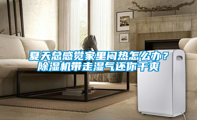 欧美黄色性爱视频网站 夏天总感觉家里闷热怎么办？除湿机带走湿气还你干爽