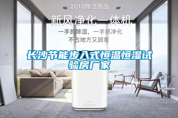 欧美成色手机在线观看 长沙节能步入式恒温恒湿试验房厂家