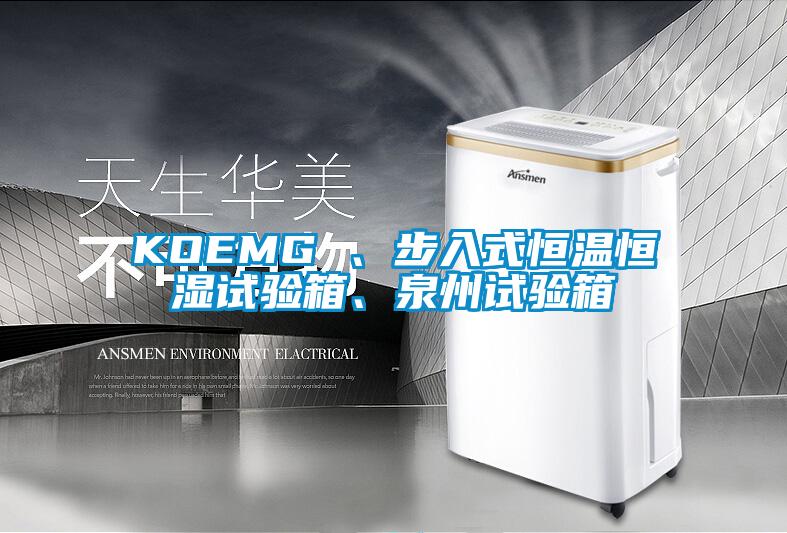 欧美黄色电影在线播放 KOEMG 、步入式恒温恒湿试验箱、泉州试验箱