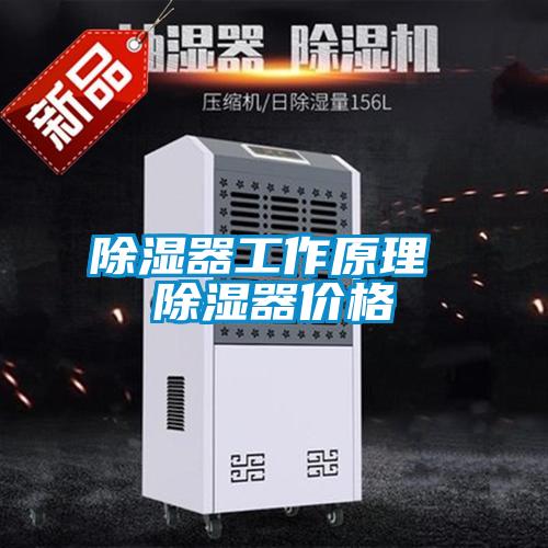 欧美黄色电影在线播放 除湿器工作原理 除湿器价格