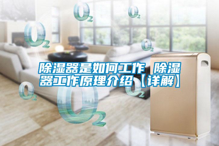 欧美成色手机在线观看 除湿器是如何工作 除湿器工作原理介绍【详解】
