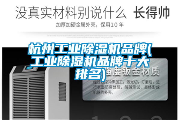欧美黄色性爱视频网站 杭州工业除湿机品牌(工业除湿机品牌十大排名)