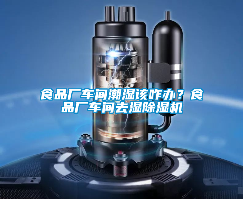 欧美成色手机在线观看 食品厂车间潮湿该咋办？食品厂车间去湿除湿机