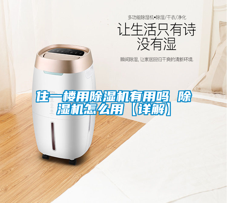 欧美黄色性爱视频网站 住一楼用除湿机有用吗 除湿机怎么用【详解】