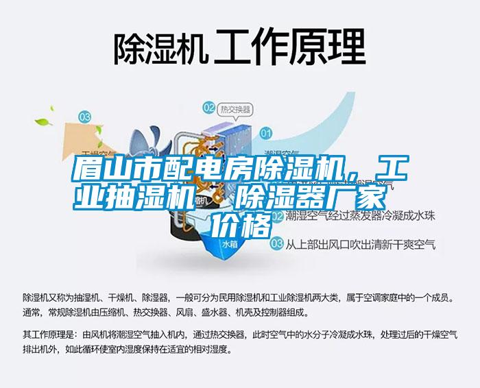 欧美黄色电影在线播放 眉山市配电房除湿机，工业抽湿机  除湿器厂家 价格
