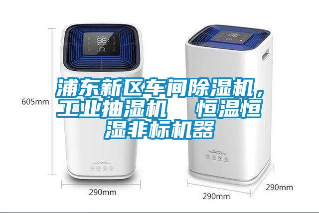 欧美黄色电影在线播放 浦东新区车间除湿机，工业抽湿机  恒温恒湿非标机器