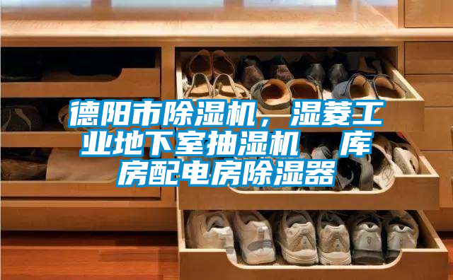 欧美黄色性爱视频网站 德阳市除湿机，湿菱工业地下室抽湿机  库房配电房除湿器