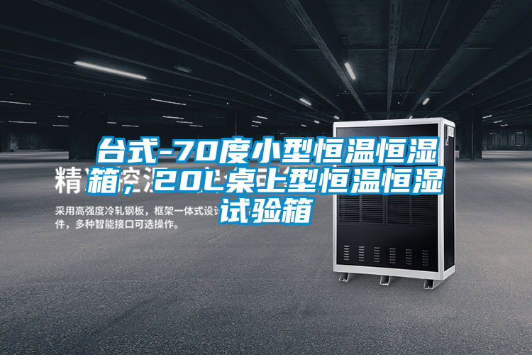 欧美黄色性爱视频网站 台式-70度小型恒温恒湿箱，20L桌上型恒温恒湿试验箱