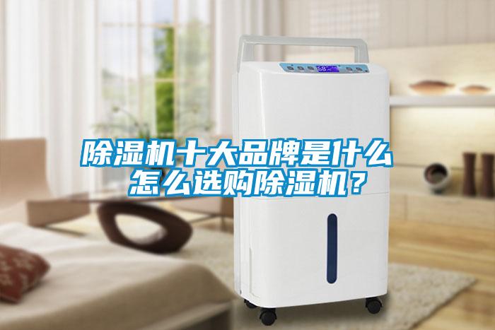 欧美黄色电影在线播放 除湿机十大品牌是什么 怎么选购除湿机？