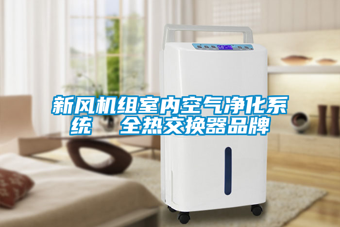 欧美黄色性爱视频网站 新风机组室内空气净化系统  全热交换器品牌