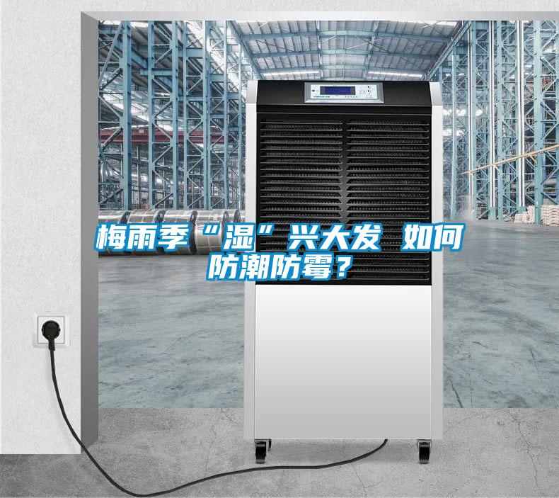 欧美黄色电影在线播放 梅雨季“湿”兴大发 如何防潮防霉？