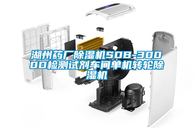 欧美黄色性爱视频网站 湖州药厂除湿机SDB-3000D检测试剂车间单机转轮除湿机