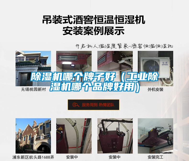 欧美黄色性爱视频网站 除湿机哪个牌子好（工业除湿机哪个品牌好用）