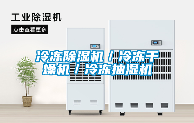 欧美黄色电影在线播放 冷冻除湿机／冷冻干燥机／冷冻抽湿机