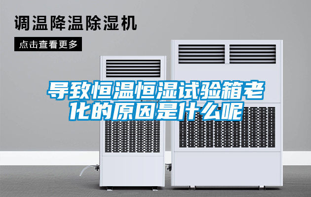 欧美成色手机在线观看 导致恒温恒湿试验箱老化的原因是什么呢