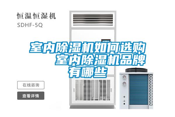 欧美黄色性爱视频网站 室内除湿机如何选购   室内除湿机品牌有哪些