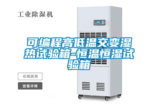欧美黄色性爱视频网站 可编程高低温交变湿热试验箱-恒温恒湿试验箱