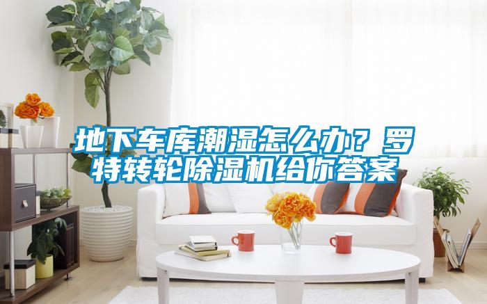 欧美成色手机在线观看 地下车库潮湿怎么办？罗特转轮除湿机给你答案