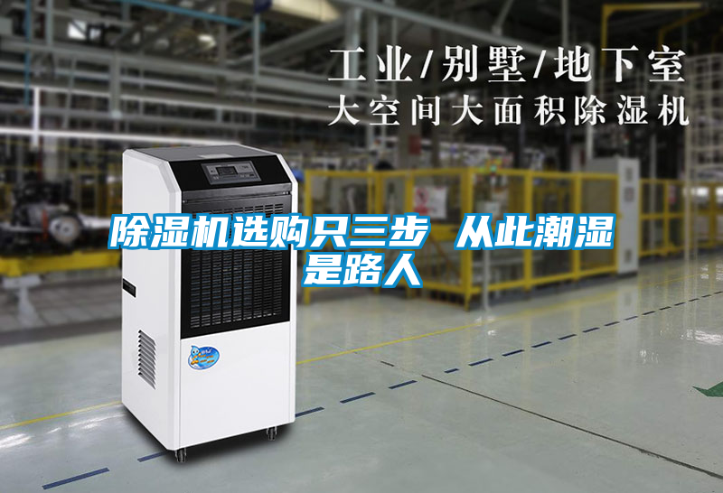 欧美成色手机在线观看 除湿机选购只三步 从此潮湿是路人