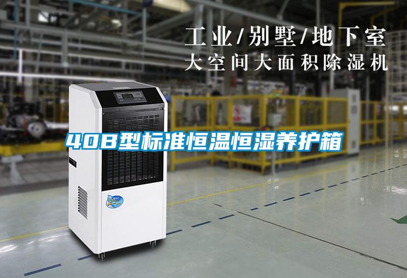 欧美黄色性爱视频网站 40B型标准恒温恒湿养护箱