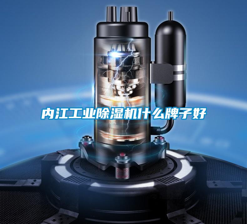欧美黄色电影在线播放 内江工业除湿机什么牌子好