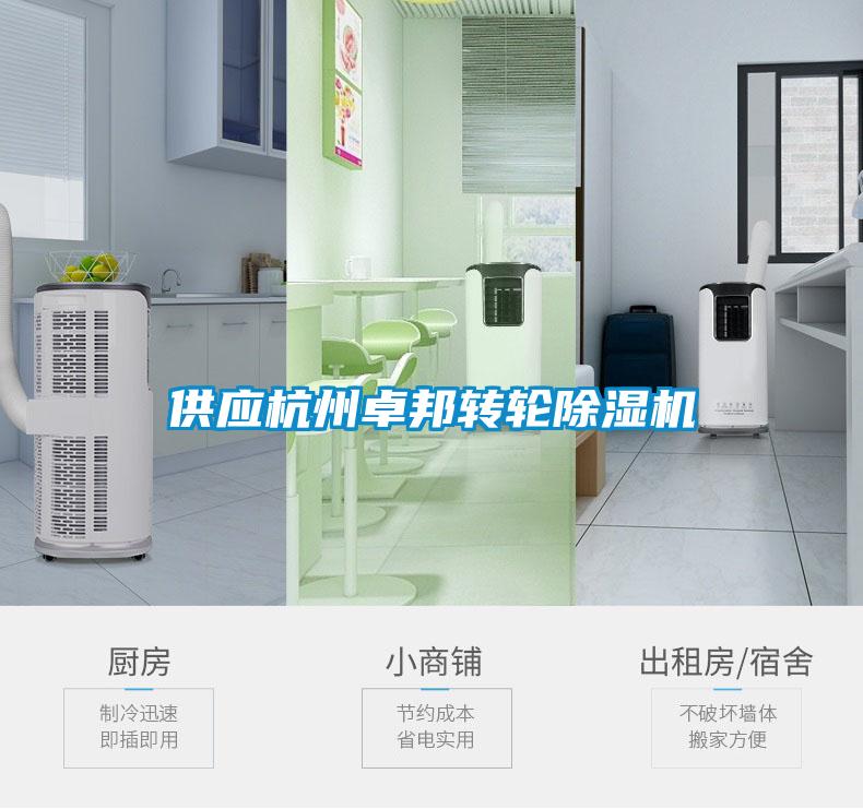 欧美黄色电影在线播放 供应杭州卓邦转轮除湿机