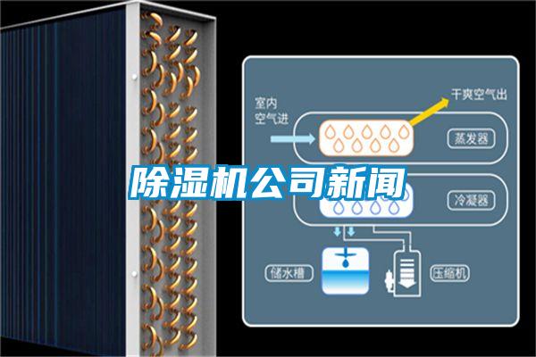欧美黄色电影在线播放 除湿机公司新闻