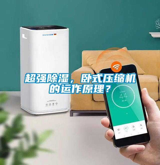 欧美黄色性爱视频网站 超强除湿，卧式压缩机的运作原理？