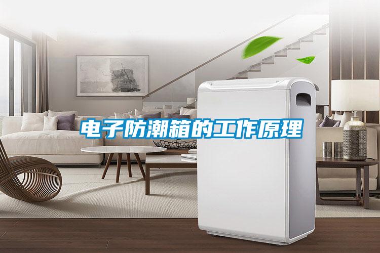 欧美黄色电影在线播放 电子防潮箱的工作原理