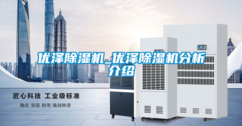 欧美成色手机在线观看 优泽除湿机_优泽除湿机分析介绍