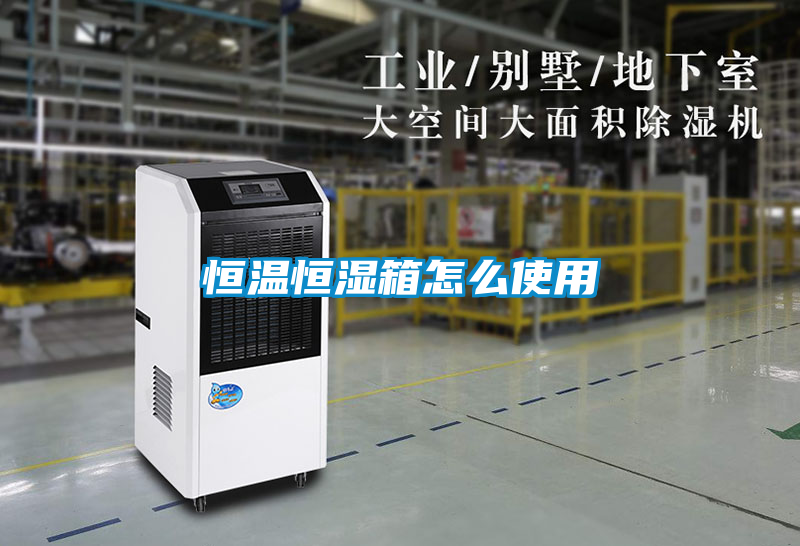 欧美黄色电影在线播放 恒温恒湿箱怎么使用