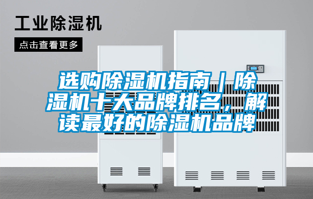 欧美成色手机在线观看 选购除湿机指南｜除湿机十大品牌排名，解读最好的除湿机品牌