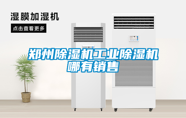 欧美黄色性爱视频网站 郑州除湿机工业除湿机哪有销售