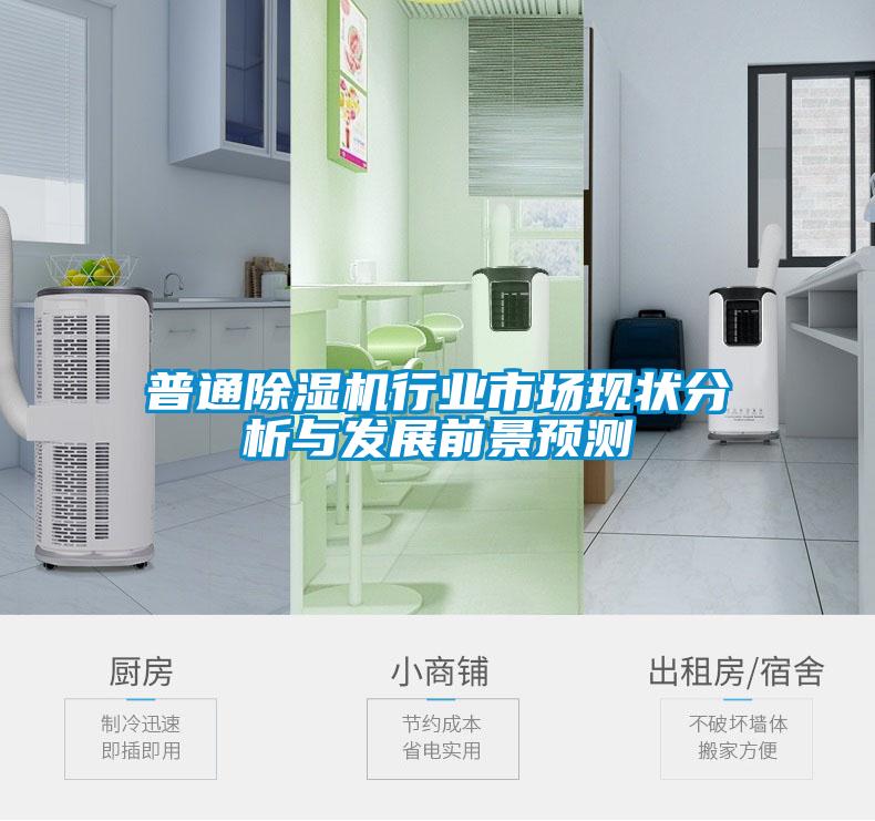 欧美成色手机在线观看 普通除湿机行业市场现状分析与发展前景预测