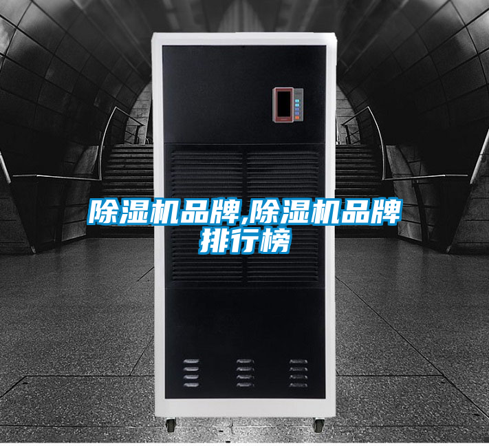 欧美黄色性爱视频网站 除湿机品牌,除湿机品牌排行榜