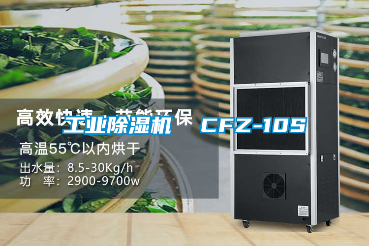 欧美黄色电影在线播放 工业除湿机  CFZ-10S