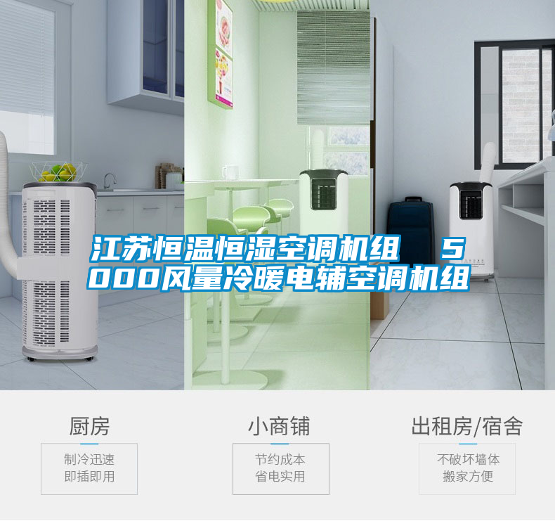 欧美黄色电影在线播放 江苏恒温恒湿空调机组  5000风量冷暖电辅空调机组