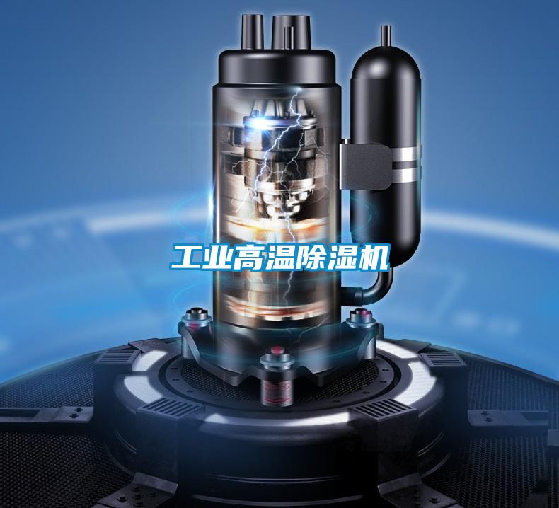 欧美成色手机在线观看 工业高温除湿机