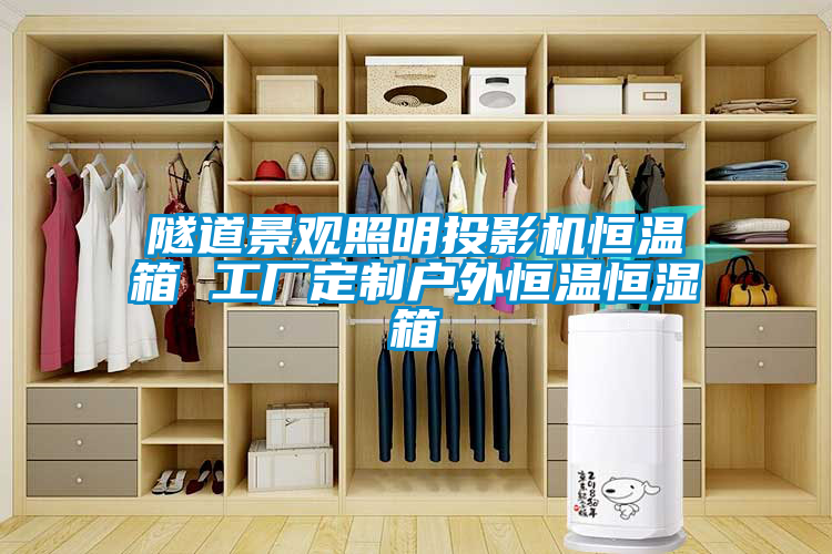 欧美黄色性爱视频网站 隧道景观照明投影机恒温箱 工厂定制户外恒温恒湿箱