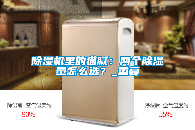 欧美成色手机在线观看 除湿机里的猫腻：两个除湿量怎么选？_重复