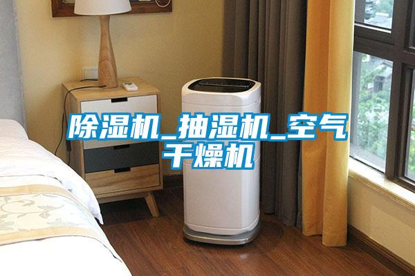 欧美黄色性爱视频网站 除湿机_抽湿机_空气干燥机