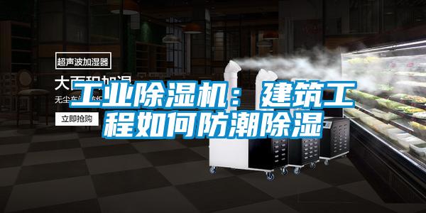 欧美成色手机在线观看 工业除湿机：建筑工程如何防潮除湿