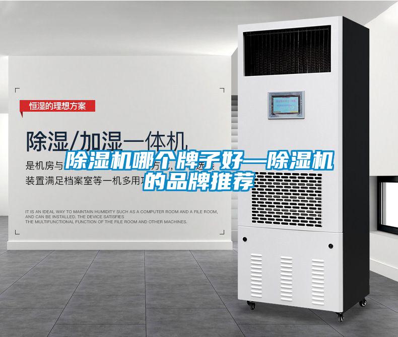 欧美成色手机在线观看 除湿机哪个牌子好—除湿机的品牌推荐