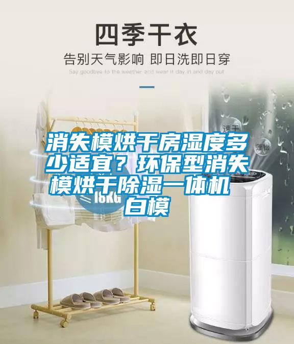欧美黄色性爱视频网站 消失模烘干房湿度多少适宜？环保型消失模烘干除湿一体机 白模