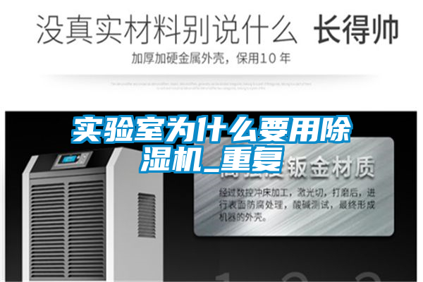 欧美黄色电影在线播放 实验室为什么要用除湿机_重复