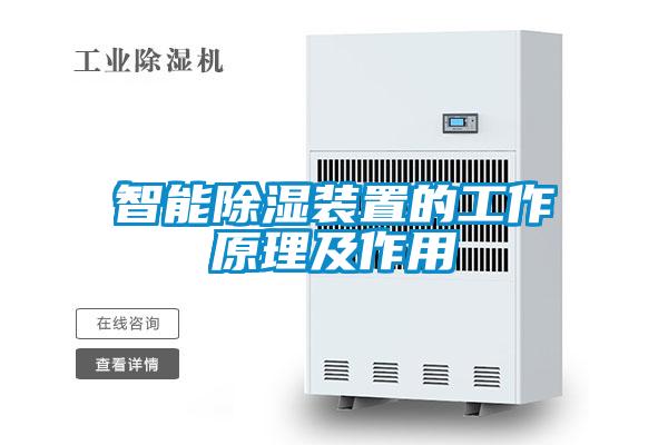欧美黄色电影在线播放 智能除湿装置的工作原理及作用