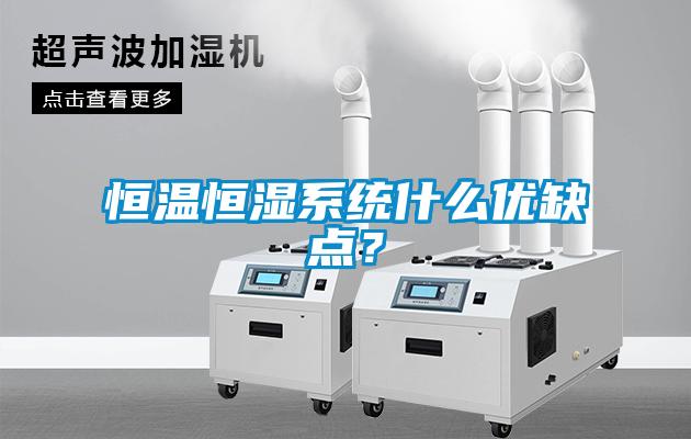 欧美黄色性爱视频网站 恒温恒湿系统什么优缺点？