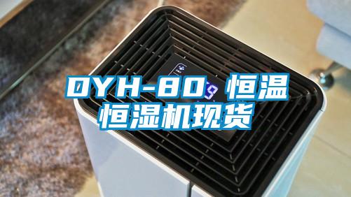 欧美黄色性爱视频网站 DYH-80 恒温恒湿机现货