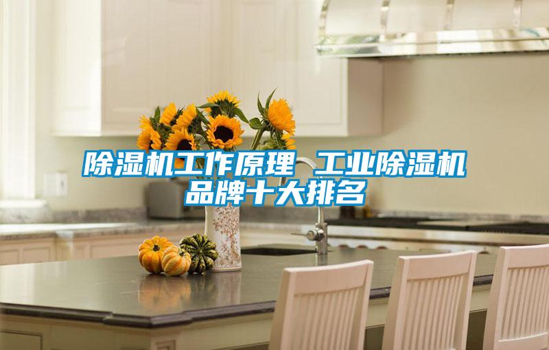 欧美成色手机在线观看 除湿机工作原理 工业除湿机品牌十大排名
